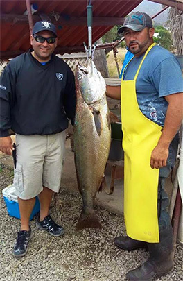 Baja Fishing - White Sea Bass