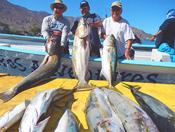 Cedros Island Baja Fishing