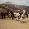All the Pretty Horses Rescue and Ride Baja