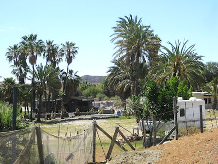 Bahía Tortugas Rancho San Jose