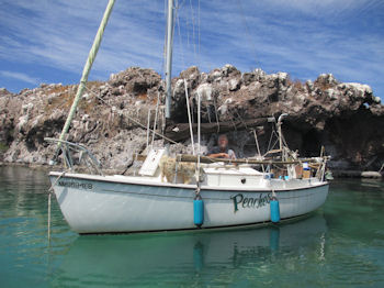 Baja Sailing 