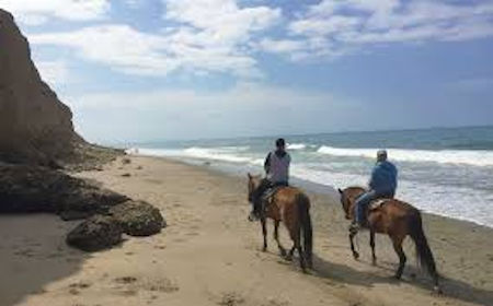 Horses on Beach Baja
