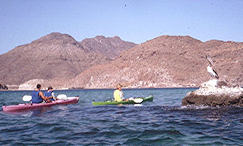 Kayaking Mulege Baja