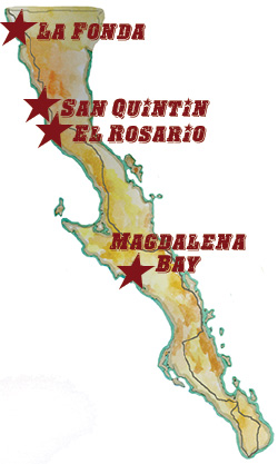 Midwinter Baja Map