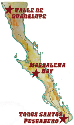 Mouthwatering Baja Map