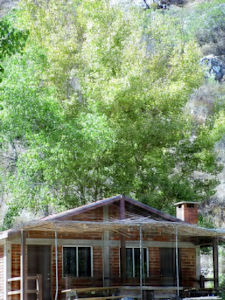 Cabin San Carlos
