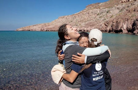 Sea Lion Rescue Team Baja Sur