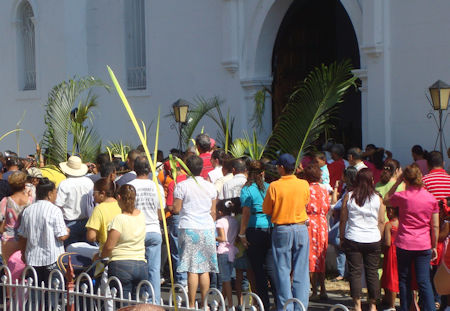 Palm Sunday in Baja