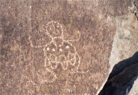 Ladybug Petroglyph Baja