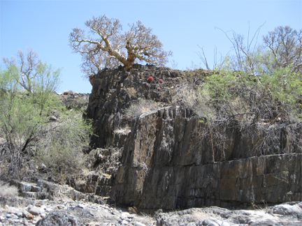 Rock Formation And Tree