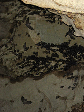 Bat Cave Of Santiago